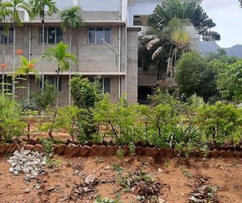 Landscape - Satellite Campus-2